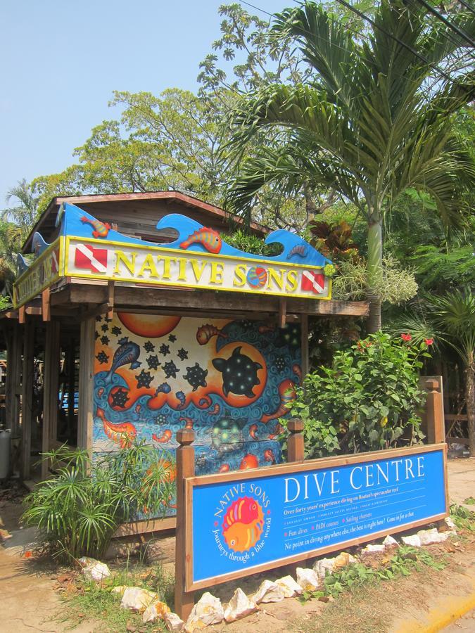 Hotel Chillies And Native Sons Diving Уест Енд Екстериор снимка